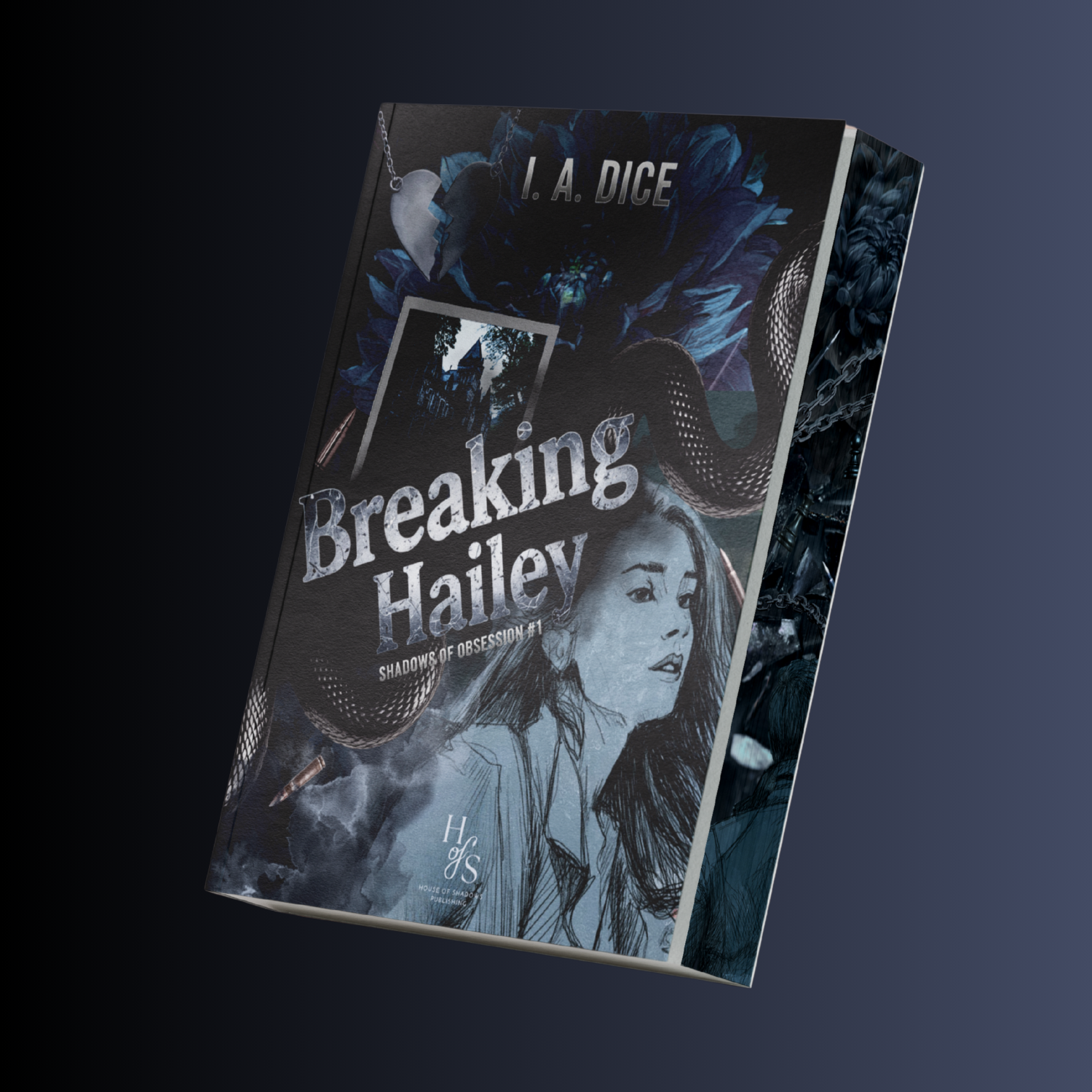 Breaking Hailey I.A. Dice