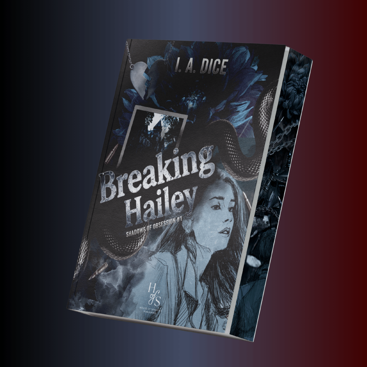 Breaking Hailey I.A. Dice